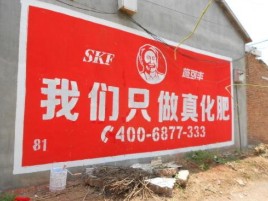 临湘刷墙广告”蕴含了时代命题