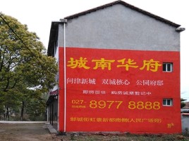 临湘百分之90的人都不了解的农村墙体广告