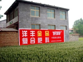 临湘如何让墙体广告展现最大化效果
