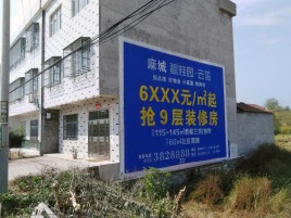 临湘墙体广告质量分析