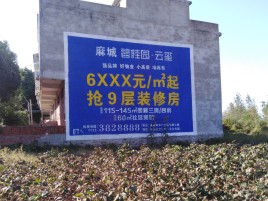 临湘品牌公司青睐的墙体广告
