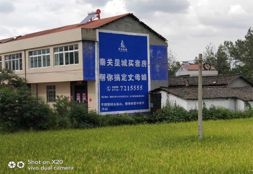 临湘决定墙体广告价格的因素有哪些?