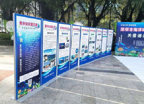 临湘KT板的种类和知识。